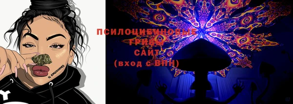 2c-b Медвежьегорск