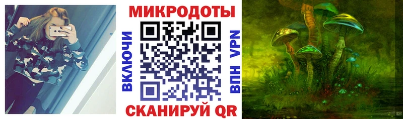 Псилоцибиновые грибы Psilocybine cubensis  Михайловск 